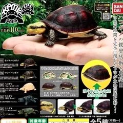 亀　フィギュア　ガチャ　バンダイ　ミルキーカラー　赤目 亀 フィギュア ガチャ バンダイ ミルキーカラー 赤目 フィギュア