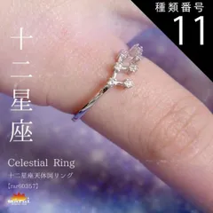 種類11:水瓶座 リング 指輪 レディース フリーサイズ 金属アレルギー 指先に夜空を彩る。十二星座天体図リング チェーン アクセサリー 925シルバー スターリングシルバー シルバー 十二星座 星 星座 誕生日 きれいめ プレゼント シンプル n_marai