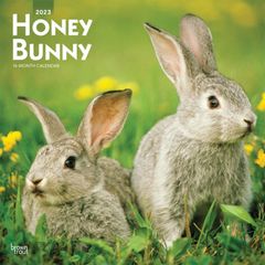 【輸入】2023年 うさぎ カレンダー（Honey Bunny）ブラウントラウト