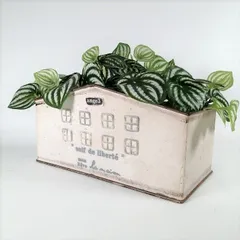 out ❁ブリキのナチュラルお花バケツ&ホウキset❁