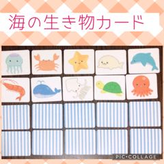 海の生き物カード　神経衰弱　モンテッソーリ  マッチングカード　おうちモンテ　メモリーカード　保育　知育　療育　指導教材
