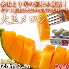 赤肉メロン 約4〜5kg 2〜5玉 秀品〜優品 茨城県・山形県産中心 贈答規格 大玉 JA共撰品 A品 ギフト最適な大玉の果実に豊かな甘さ