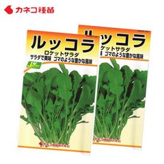 ルッコラ 種 ２袋セット 家庭菜園 畑 プランター ゴマのような豊かな風味 業務用 手軽に作れる 手間いらず イタリア料理 サラダ 肉料理 付け合わせ におすすめ ロケットサラダ 生産地 イタリア
