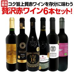 第40弾！当店≪極≫厳選！赤ワイン好きならこのセット！格別の美味しさ！コク旨上質赤ワインを存分に味わう贅沢赤ワイン6本 