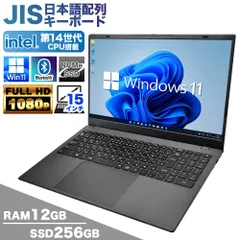 【新品】ノートパソコン PASOUL NC15J 15.6インチワイド Windows11 第14世代 Intel TwinLake N150 NVMe PCIe3.0 SSD256GB メモリ12GB