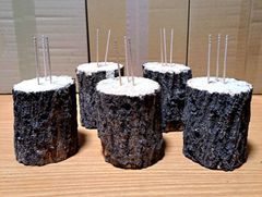 Item thumbnail for item a10332be-583a-4833-8872-408da004a151