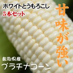 ☆7月中旬～下旬～予約順に収穫次第出荷☆ホワイトとうもろこしプラチナコーン農家指定産地直送平均糖度20度(1箱5本入り)鳥取北栄町産【常温便】