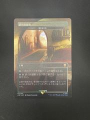 変化の狂信者（英語）×4枚 mtg 変化の狂信者 英語 4枚セット MTG ちらつき鬼火 U 英語
