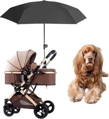 Item thumbnail for item 2406554d-4da4-4b1f-b4a4-c947962d246c