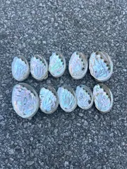 【天然素材】アワビ 鮑 貝殻 空殻  大小ミックスセット ハンドメイド 工芸品  風水