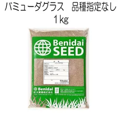 バミューダグラス種子　1kg【種】紅大貿易　芝の種　芝生の種　暖地型　西洋芝