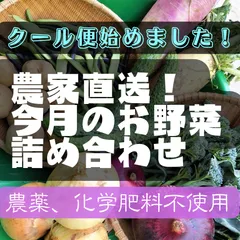 今月のお野菜セット80サイズ