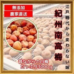 価格高騰！農家直送！紀州南高梅 樽 3kg 無添加 和歌山 紀州 白梅
