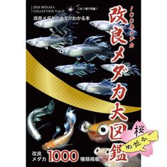100年メダカ 2024 〜改良メダカ大図鑑〜 vol.21