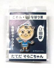 大和ミュージアム ピンバッチ & 須磨水族館 缶バッジ 二個セット