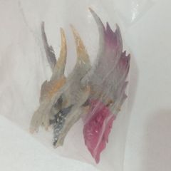 モンスターハンターライズ メルゼナ モンスターヘッド マグネット