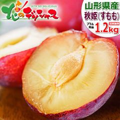 【予約/9月上旬(9月5日)頃～出荷予定】 山形県産 プラム 秋姫 1.2kg (秀品/6玉～11玉入り) あきひめ プラム すもも 李 ギフト 贈り物 お祝い 内祝い プレゼント ご家庭用 果物 フルーツ 山形県 山形県直送 グルメ お取り寄せ