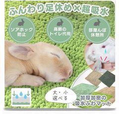 Item thumbnail for item 5c4daae1-8429-4e5f-9eb0-09c0c3ddf5d4