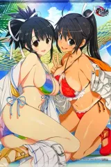 【中古】タペストリー 飛鳥＆焔 八重樫南氏描きおろしB2タペストリー 「PS4ソフト 閃乱忍忍忍者大戦ネプテューヌ -少女達の響艶-」 アニメイト購入特典