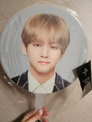 BTS ヴィ(V・テヒョン・テテ) V THE WINGS TOUR THE FINAL イメージ ピケ