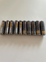ネオチャンプ　10本セット