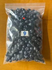 大粒冷凍ブルーベリー1kg