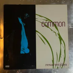 Common Sense - Resurrection【再発盤・2枚組】 OS02NjE2LmpwZWc.jpeg