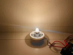 すーさん 様専用 電球色20個