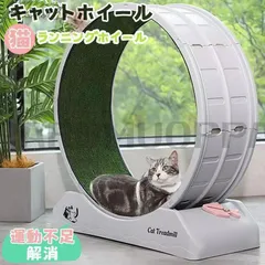 【引き取り限定( 川崎市 )】キャットホイール 引き取り限定( 川崎市 )】キャットホイール