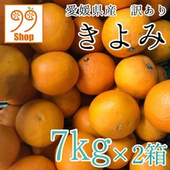 愛媛県産 きよみ 7kg×2箱 2599円 訳あり家庭用 柑橘