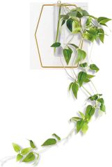 Item thumbnail for item 83cafb91-148b-4a65-9aa2-4b8ce1113305