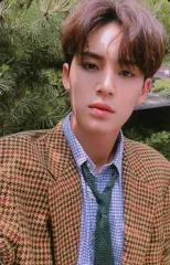 【中古】コレクションカード(男性) SEVENTEEN/MINGYU(ミンギュ)/上半身・衣装黄・水色・チェック柄・首かしげ・裏面ベージュ/CD「3RD Album ： An Ode(The Poet ver.)封入特典フォトカード