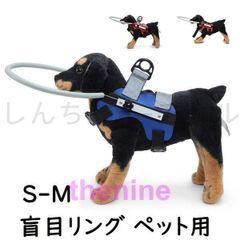 Item thumbnail for item 38d63c46-268f-4217-b6fb-4eea0cb4f73b