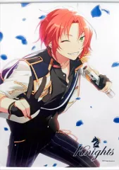 あんスタ 月永レオ 瀬名泉 タペストリー Knights あんさんぶる