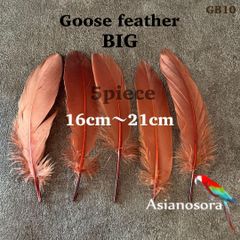 ■【GB10茶】ガチョウ 羽根 大5枚 鳥の羽根 フェザー 素材 羽 装飾 衣装