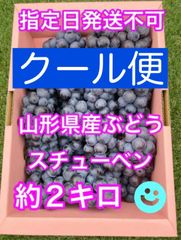 🟦クール便🟦山形県産ぶどう スチューベン約２キロ