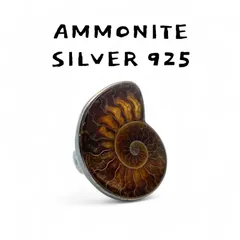 2026年最新】太古の記憶verの人気アイテム - メルカリ