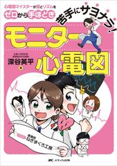 山内要先生 作成 波動製品 540 - メルカリ