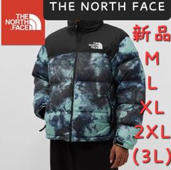 THE NORTH FACE　ノースフェイス　新品　 タグ付き 日本未発売  ダウンジャケット アウター　ジャケット　大人気　冬　海外限定　防寒 ロゴ　ストリート　 軽量　韓国限定　 男女兼用　メンズ　レディース  アウター　 防寒　軽量 希少柄 模様 レトロ