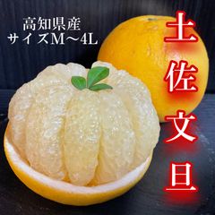 高知産　土佐文旦　家庭用9kg