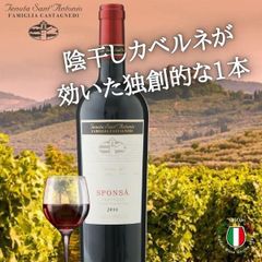 イタリアワイン 陰干し カベルネ スポンサ ヴェロネーゼ アパッシメント サンアントニオ フルボディ 赤ワイン