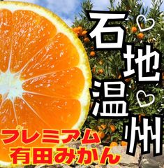 いしじみかん　2.5キロ