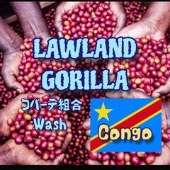 コンゴ KIVU3 コパーデ組合 ウォッシュ ローランド・ゴリラ ★スペシャリティコーヒー　200g入り★コンゴ珈琲豆★自家焙煎コーヒー豆★アイスコーヒー★エムリバーサイドコーヒー