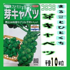 【珍しい野菜】コロコロした実を丸っと煮込み！芽キャベツの種１０粒【野菜の種】