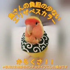 2024年最新】コザクラインコ エリザベスカラーの人気アイテム - メルカリ