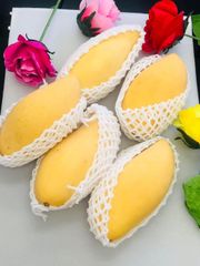 [5月27日入荷予定、入荷次第出荷]　生鮮 航空便  タイ産 マンゴー ナンドクマイ種 約4.5kg 9～18玉入り