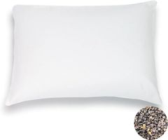 Item thumbnail for item fbf97b81-1e0c-4c40-96b2-fcd91a73d707