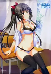 【中古】タペストリー 守永ゆかり B2タペストリー 「PS4ソフト さかあがりハリケーン Portable」 トレーダー限定購入特典