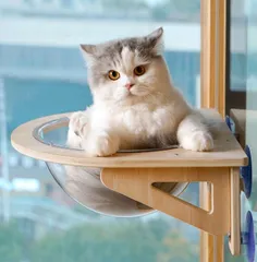 ★猫用 ハンモック 窓 宇宙船型 猫ベッド 強力吸盤 半球 透明 窓 壁 クリアボウル 半球 取り付けタイプ 吸盤ハンモック 耐荷重20kg 頑丈のサムネイル