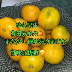 ゆら早生　有田みかん🍊1kgＢ級品　S～M